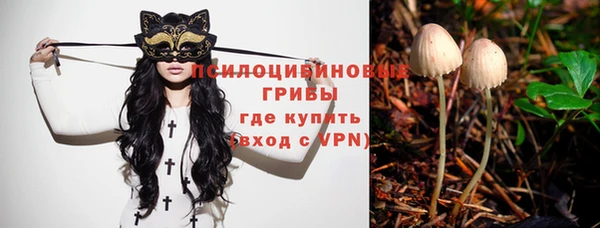 гашиш Бородино