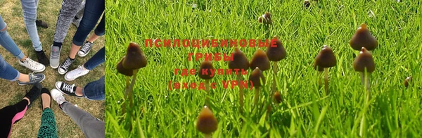 гашиш Бородино