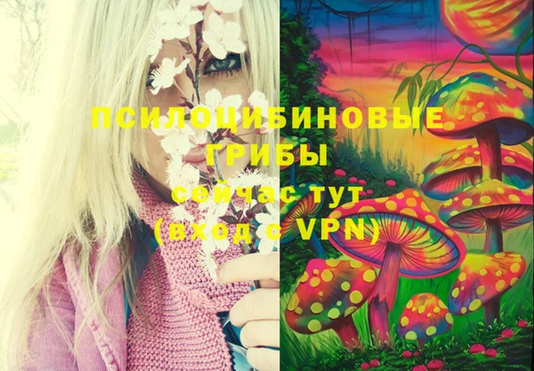 гашиш Бородино