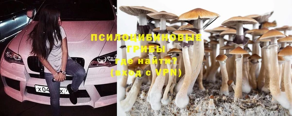 гашиш Бородино