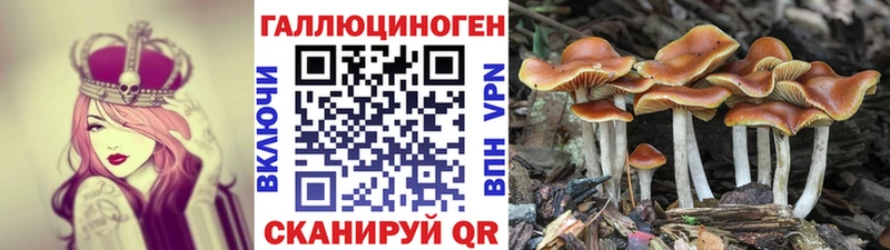 Галлюциногенные грибы GOLDEN TEACHER  hydra ССЫЛКА  Новопавловск  где продают наркотики 